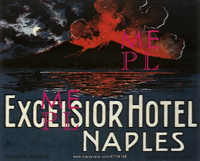  : Luggage Label from Naples, Italy
