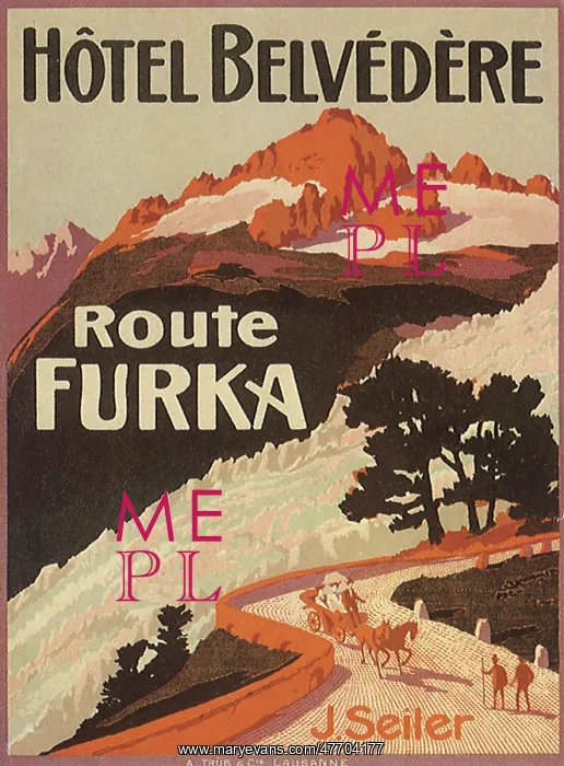  : Luggage Label from Switzerland