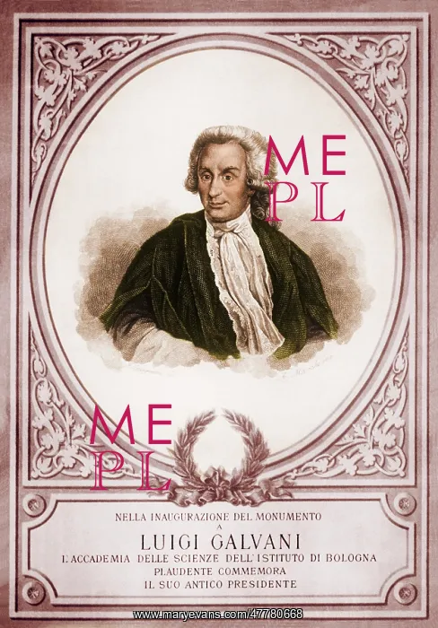 : Luigi Galvani, Italian Physicist : Luigi Galvani, Italian Physicist