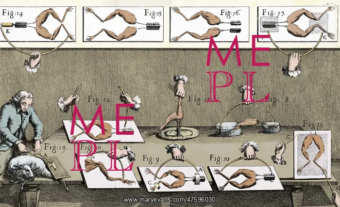 : Luigi Galvani's Experiments : Luigi Galvani's Experiments