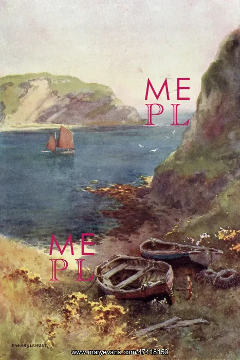 : LULWORTH COVE : LULWORTH COVE
