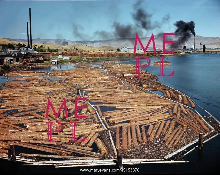 : Lumber Mill : Lumber Mill