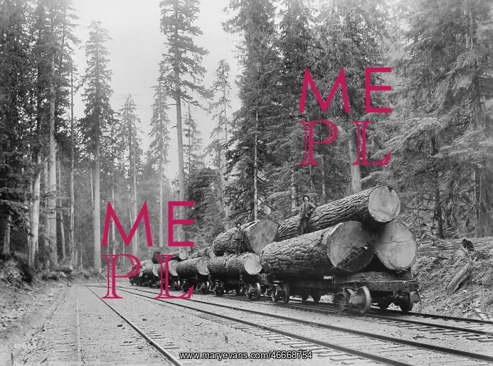 : Lumber - Logs - Occupations - Industry : Lumber - Logs - Occupations - Industry