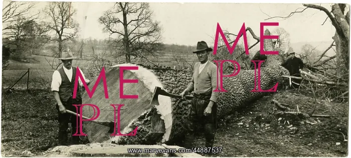 : LUMBERJACKS 1930S : LUMBERJACKS 1930S