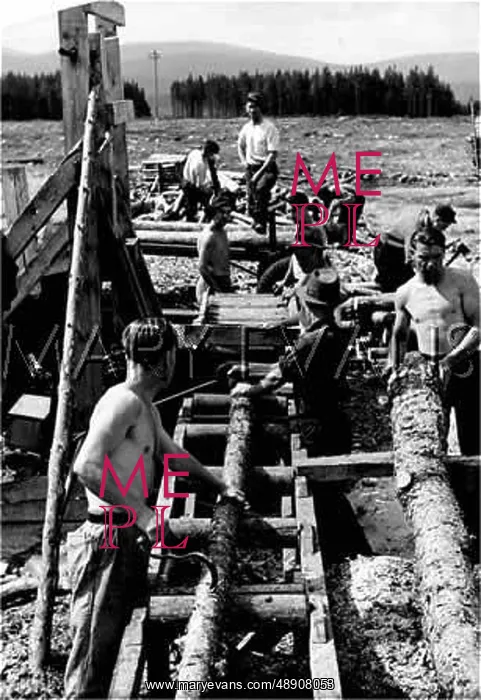 : LUMBERJACKS 1930S : LUMBERJACKS 1930S