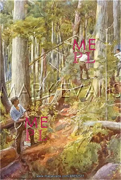 : LUMBERJACKS / CANADA 1911 : LUMBERJACKS / CANADA 1911