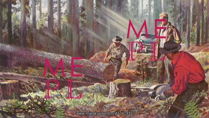  : Lumberjacks cut down Tree