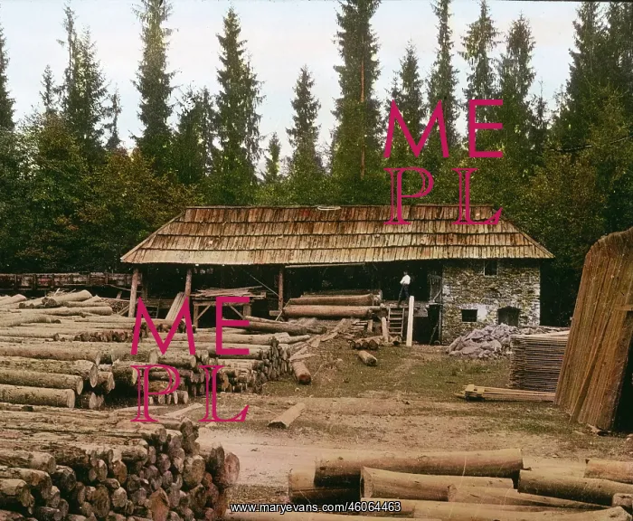 : Lumberyard in the Hoellental valley : Lumberyard in the Hoellental valley