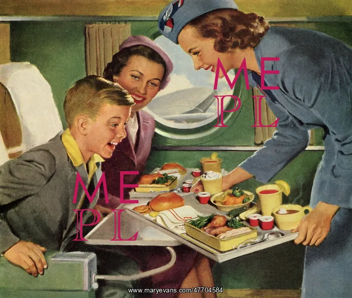 : Lunch on Airplane : Lunch on Airplane
