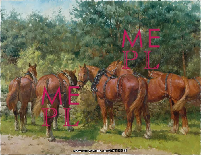: Lunch Hour ' Four chestnut shire horses : Lunch Hour ' Four chestnut shire horses