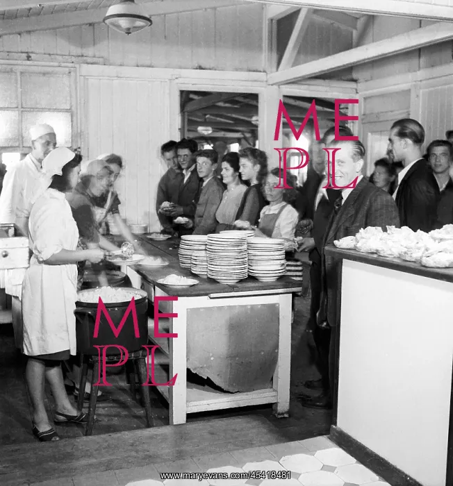 : Lunch serving : Lunch serving