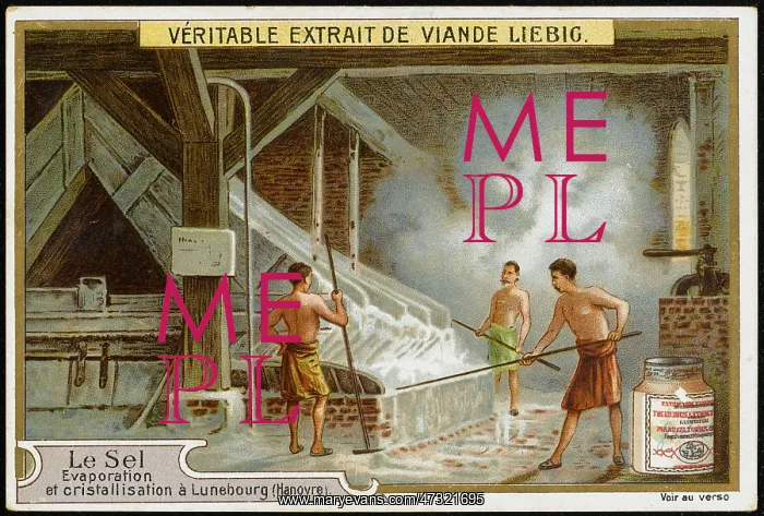  : LUNEBOURG SALT MINES