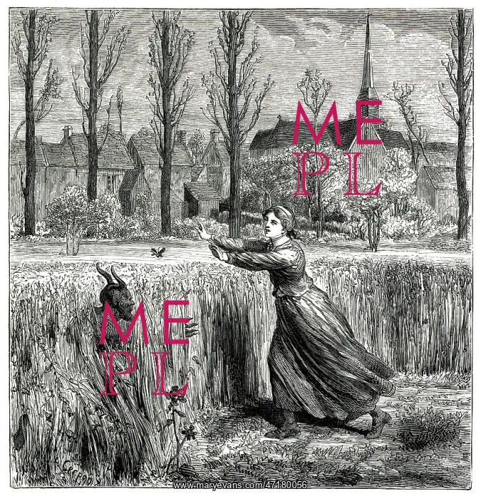 : Lurking demon in the corn : Lurking demon in the corn