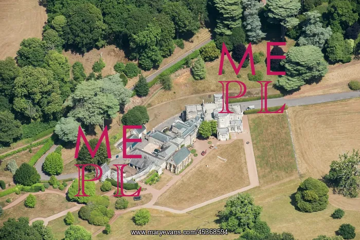 : Luscombe Castle and ornamental trees, with proposals : Luscombe Castle and ornamental trees, with proposals