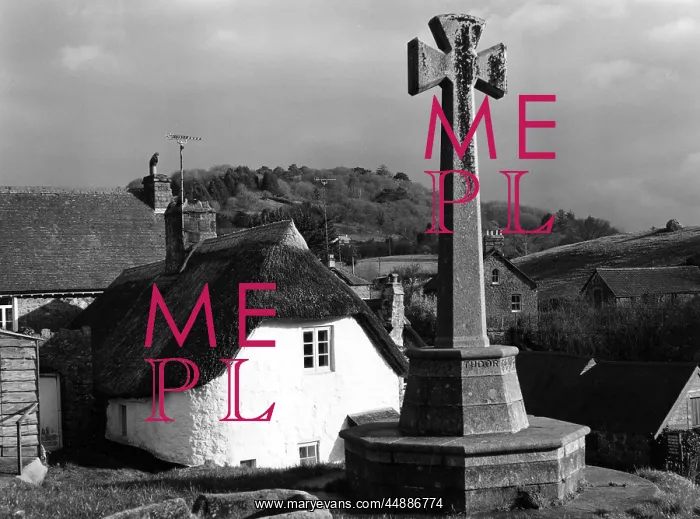 : LUSTLEIGH VILLAGE CROSS : LUSTLEIGH VILLAGE CROSS