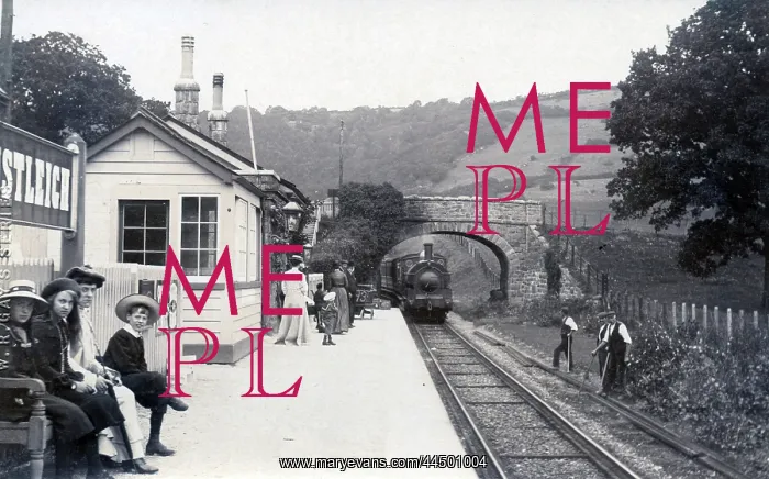 : Lustleigh Village Station, Devon : Lustleigh Village Station, Devon