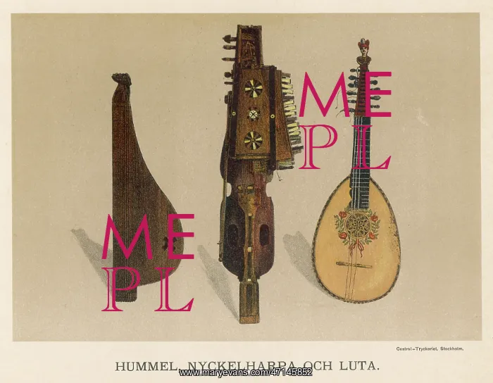 : Lute and string instruments : Lute and string instruments