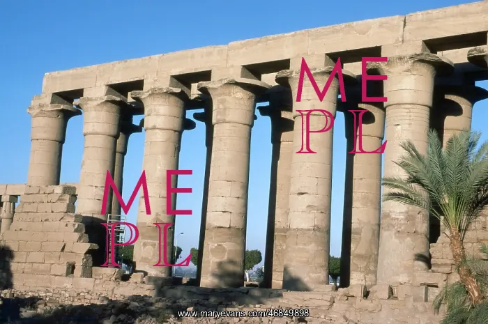 : LUXOR / LOTUS COLUMNS : LUXOR / LOTUS COLUMNS