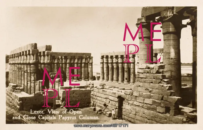 : Luxor Temple Complex - Papyrus Columns of Amenhotep III : Luxor Temple Complex - Papyrus Columns of Amenhotep III