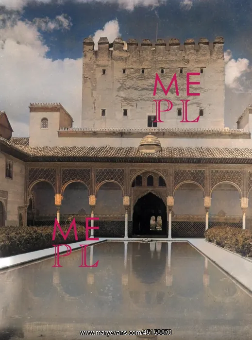: LUXURY SWIMMING POOL : LUXURY SWIMMING POOL