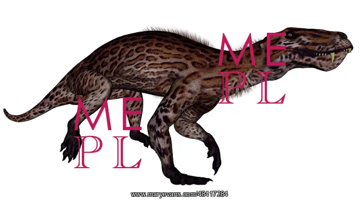 : Lycaenops dinosaur walking, white background : Lycaenops dinosaur walking, white background