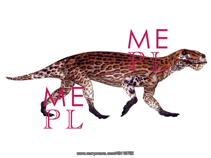 : Lycaenops from the Permian period : Lycaenops from the Permian period