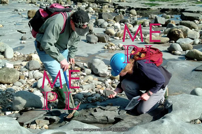 : Lyme Regis : Lyme Regis