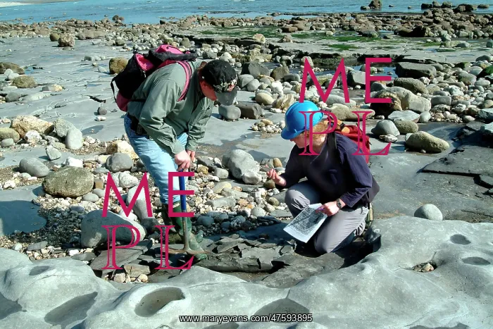 : Lyme Regis : Lyme Regis
