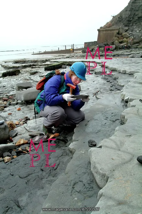 : Lyme Regis : Lyme Regis