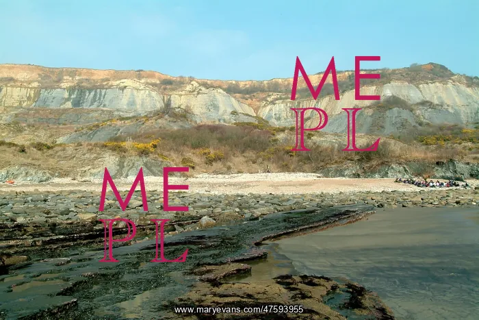 : Lyme Regis : Lyme Regis