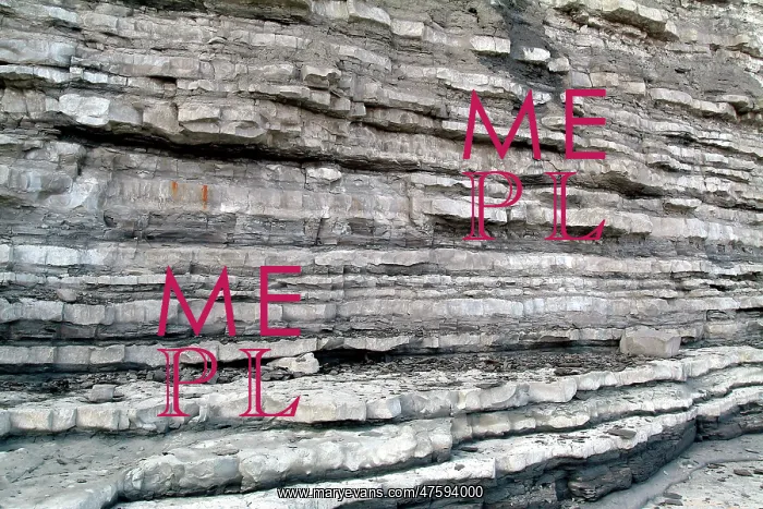 : Lyme Regis : Lyme Regis