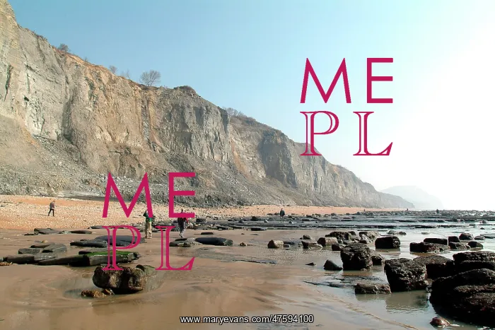 : Lyme Regis : Lyme Regis