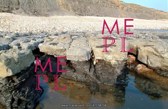 : Lyme Regis : Lyme Regis