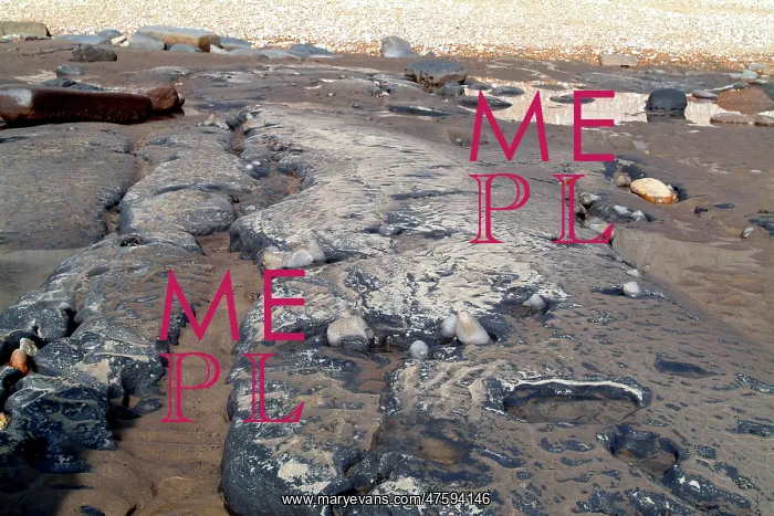 : Lyme Regis : Lyme Regis