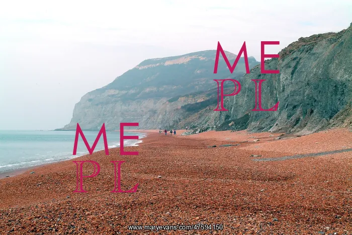 : Lyme Regis : Lyme Regis