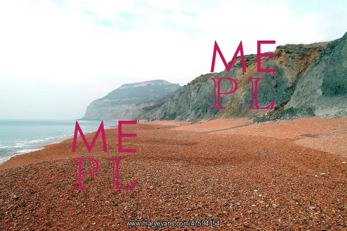 : Lyme Regis : Lyme Regis
