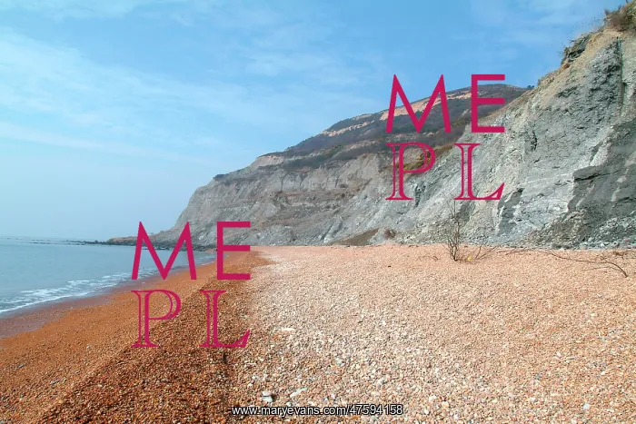  : Lyme Regis