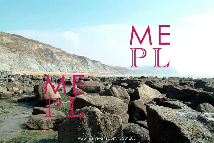: Lyme Regis : Lyme Regis