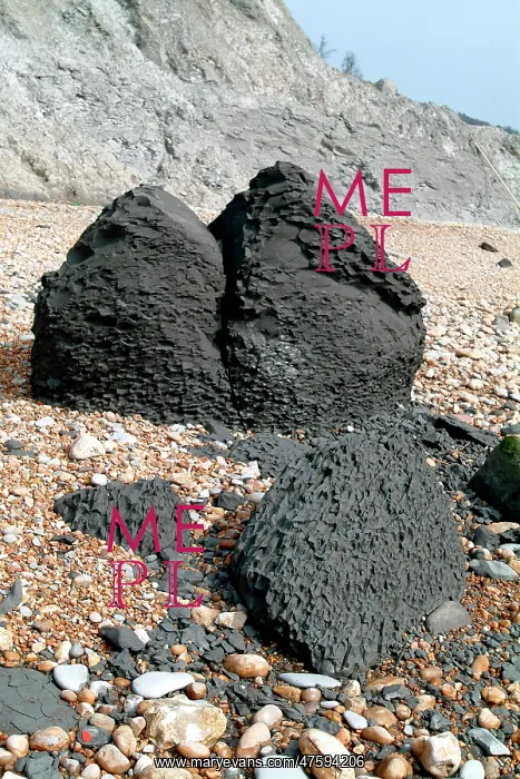 : Lyme Regis : Lyme Regis