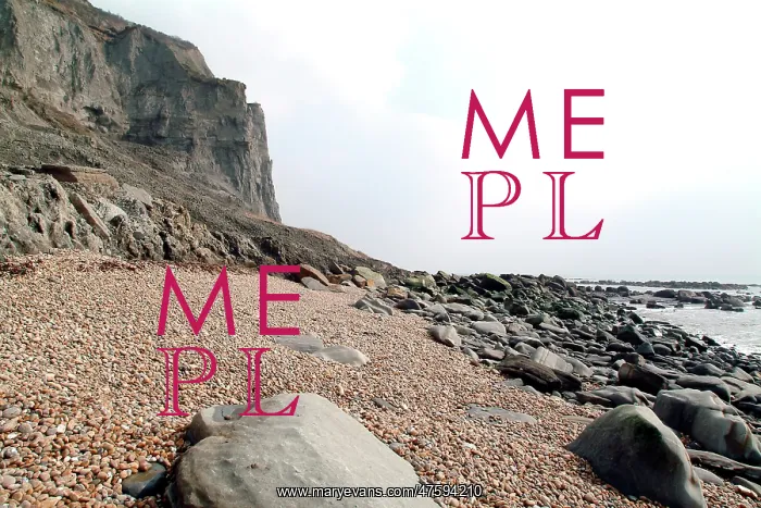 : Lyme Regis : Lyme Regis
