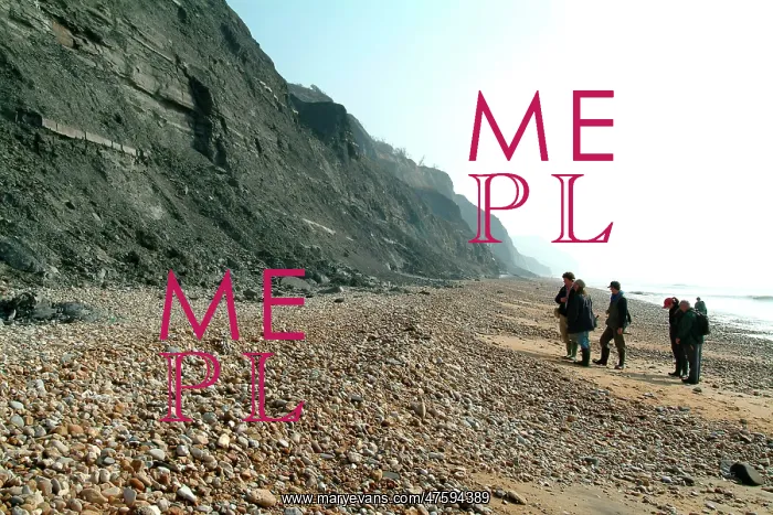 : Lyme Regis : Lyme Regis