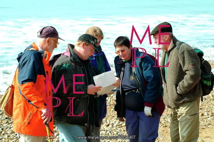: Lyme Regis : Lyme Regis