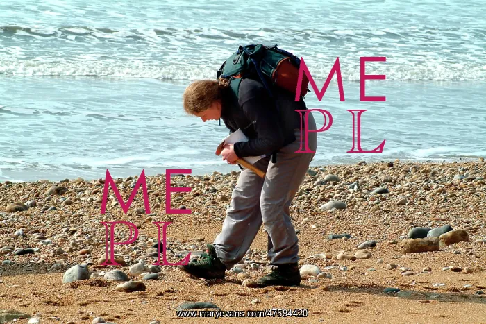 : Lyme Regis : Lyme Regis