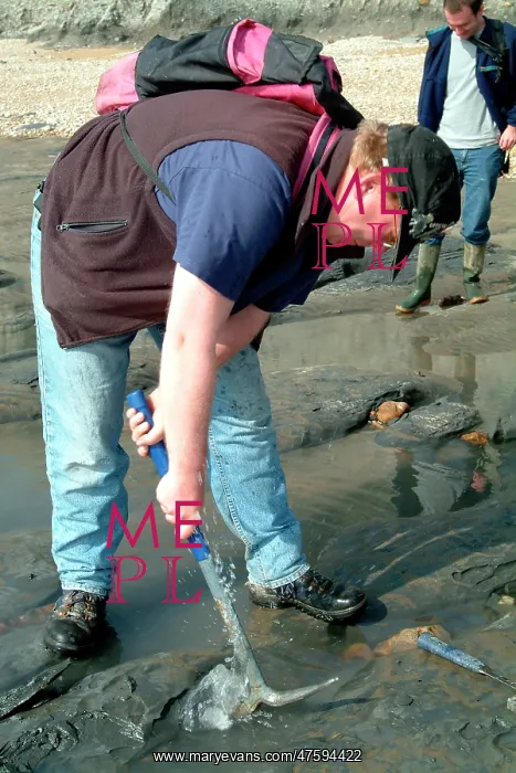 : Lyme Regis : Lyme Regis