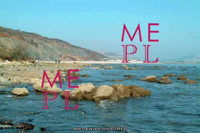 : Lyme Regis : Lyme Regis