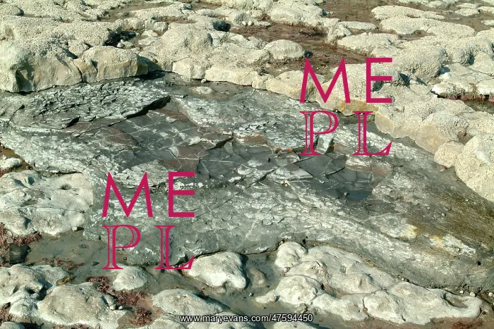 : Lyme Regis : Lyme Regis