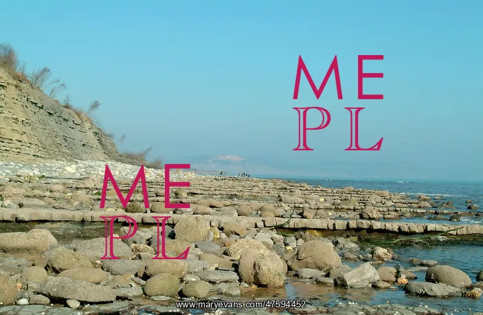 : Lyme Regis : Lyme Regis