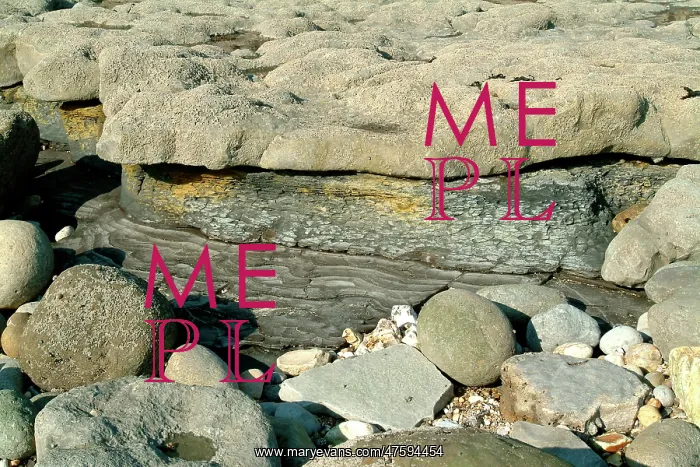 : Lyme Regis : Lyme Regis