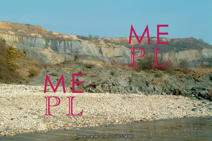 : Lyme Regis : Lyme Regis
