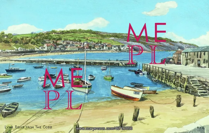 : Lyme Regis from The Cobb, Dorset : Lyme Regis from The Cobb, Dorset